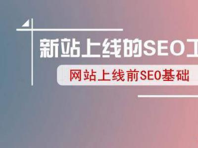 老站長的技術(shù)經(jīng)驗告訴新網(wǎng)站上線怎么做seo?