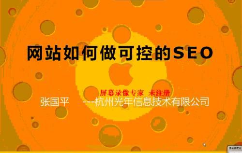 光年（張國(guó)平）seo視頻教程在線觀看